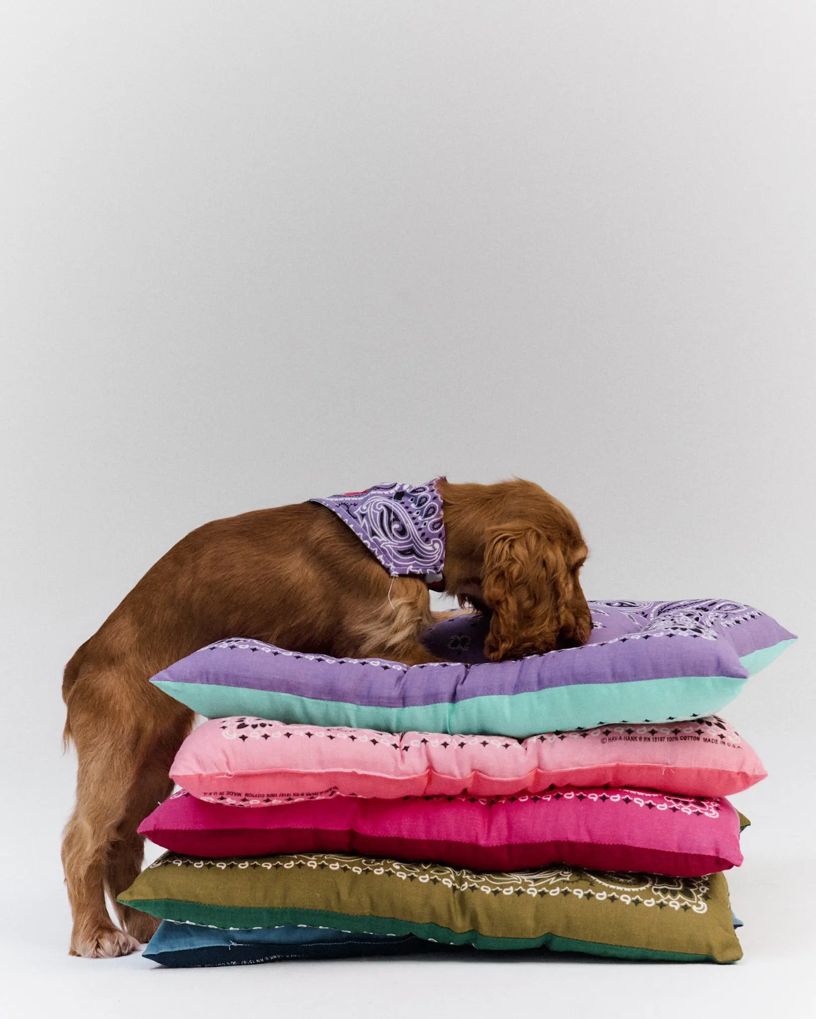 Coussin chien - Pale Pink / Strawberry Pink - Image 3