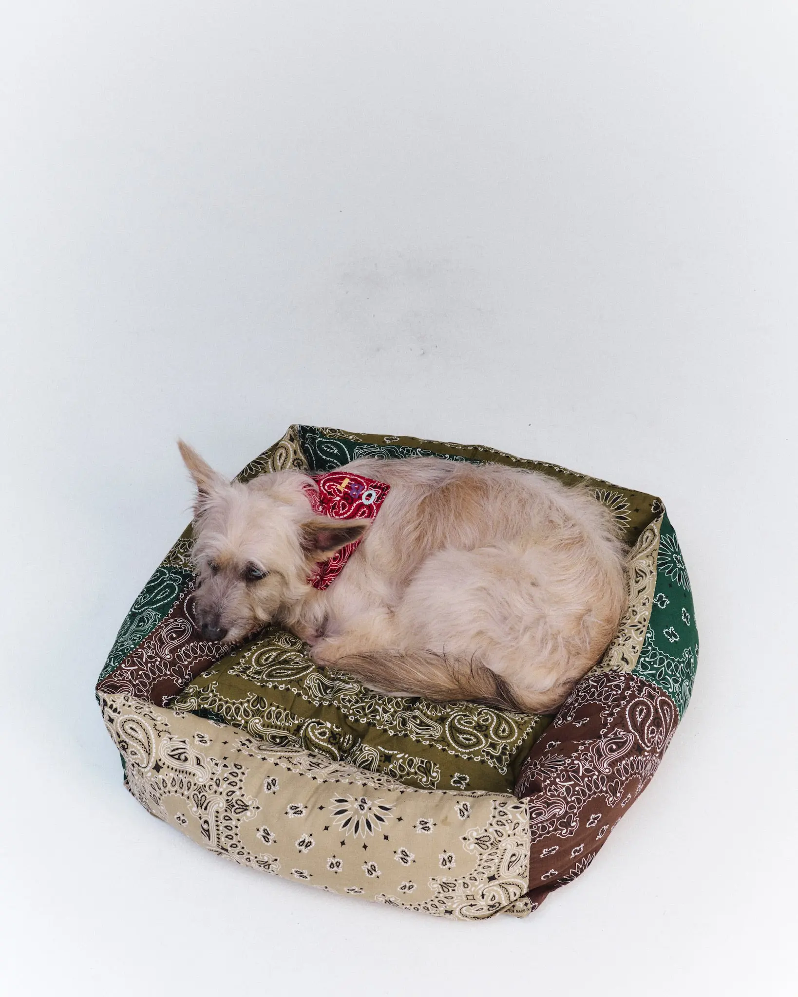 Grand panier chien - Bronze / Colorblock - Image 5